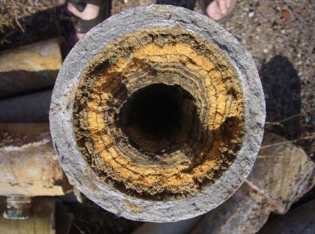 Sarro en las cañerías del agua potable: qué dice la ciencia sobre sus efectos en humanos y mascotas